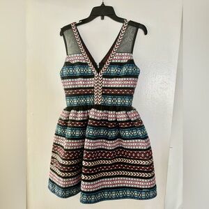 Bebe Embroidered Organza Fit and Flare Dress